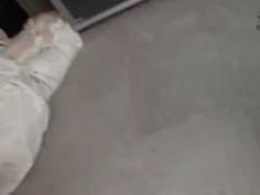 中出し コスプレ 美女 紺野ひかる コスプ