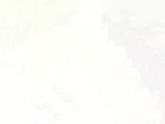 明日花キララ 寝取 田舎 寝取り 奥さん