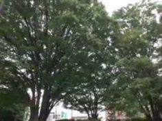 中出し 初美沙希 生ハメ 初 テク