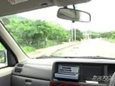 一人旅がさみしくって ～マングローブの後にあまえてもいいですか？～ 立花さや