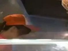 痴漢 可愛い 店員 尻 責め