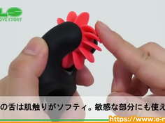 トゥエルヴ　キス