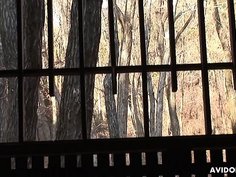 Brunette chick with glasses Ayumi Inamori gives head in POV