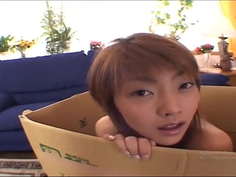 sakura sakurada playing in the box