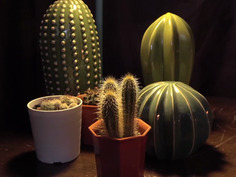 冴えない万年平社員がナマイキ年下上司の妻を寝取る！復讐の中出しセックス！真木今日子