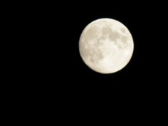 生徒会長×ギャルビアン 〜白が黒に染まるとき〜 五十嵐かな 冬愛ことね